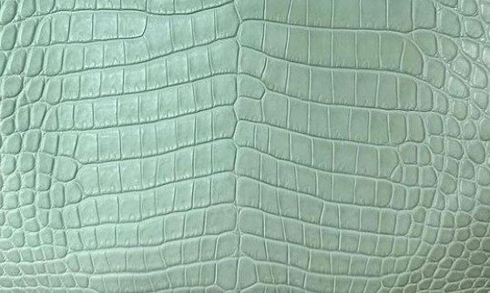 An Extensive Guide to Hermès Exotic Leathers 8 hermes Shiny Porosus Crocodile