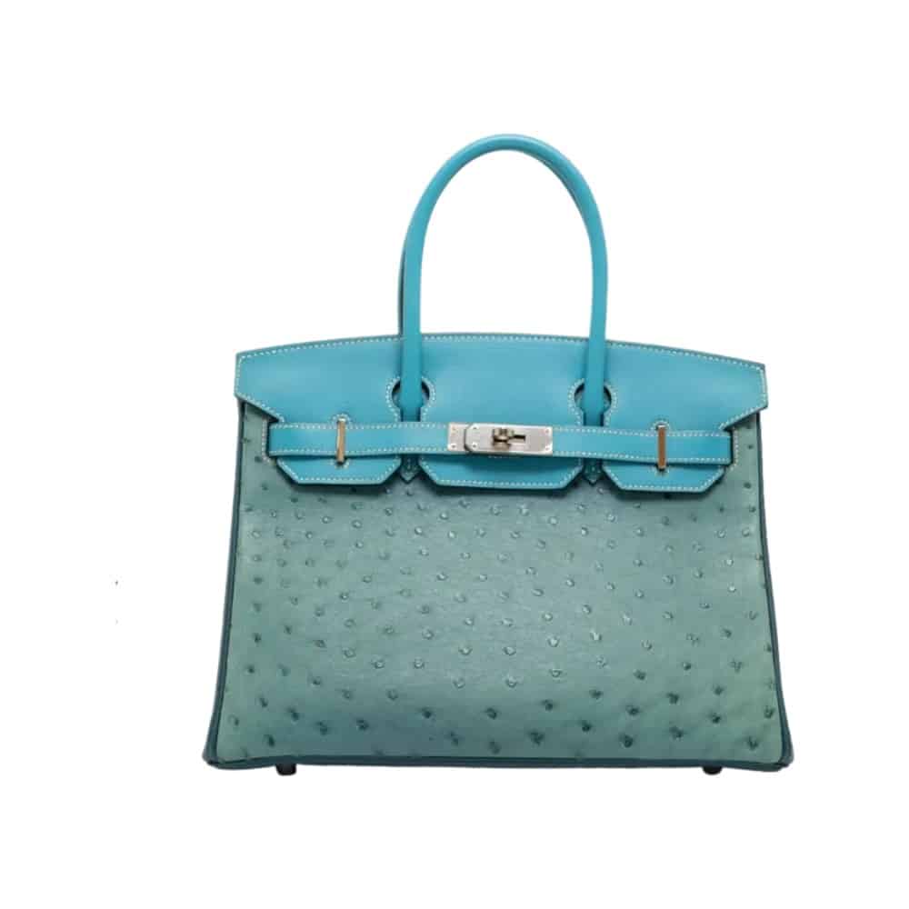 Hermès Birkin 30 Colvert Ostrich Palladium Hardware Lushentic quality