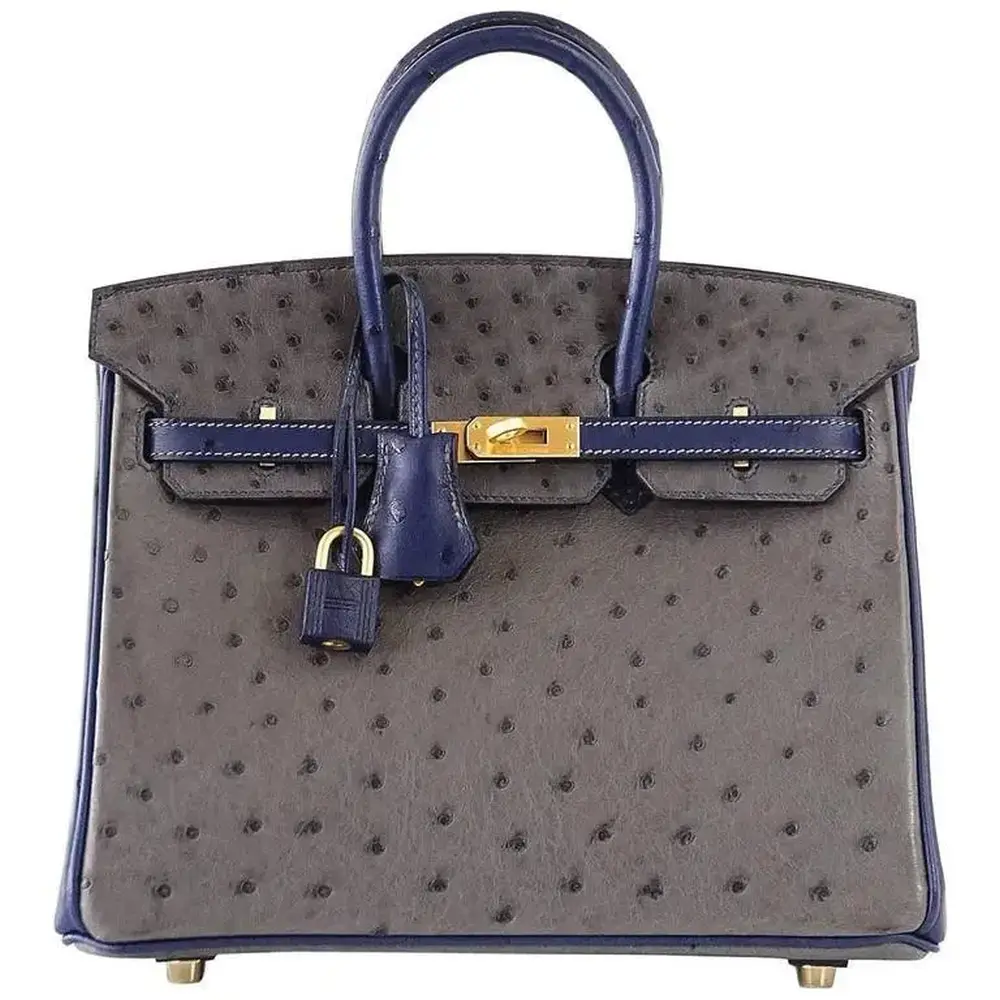 replica hermes bags Hermès HSS Birkin 25 Gris Agate and Blue Sapphire Ostrich Brushed Gold Hardware