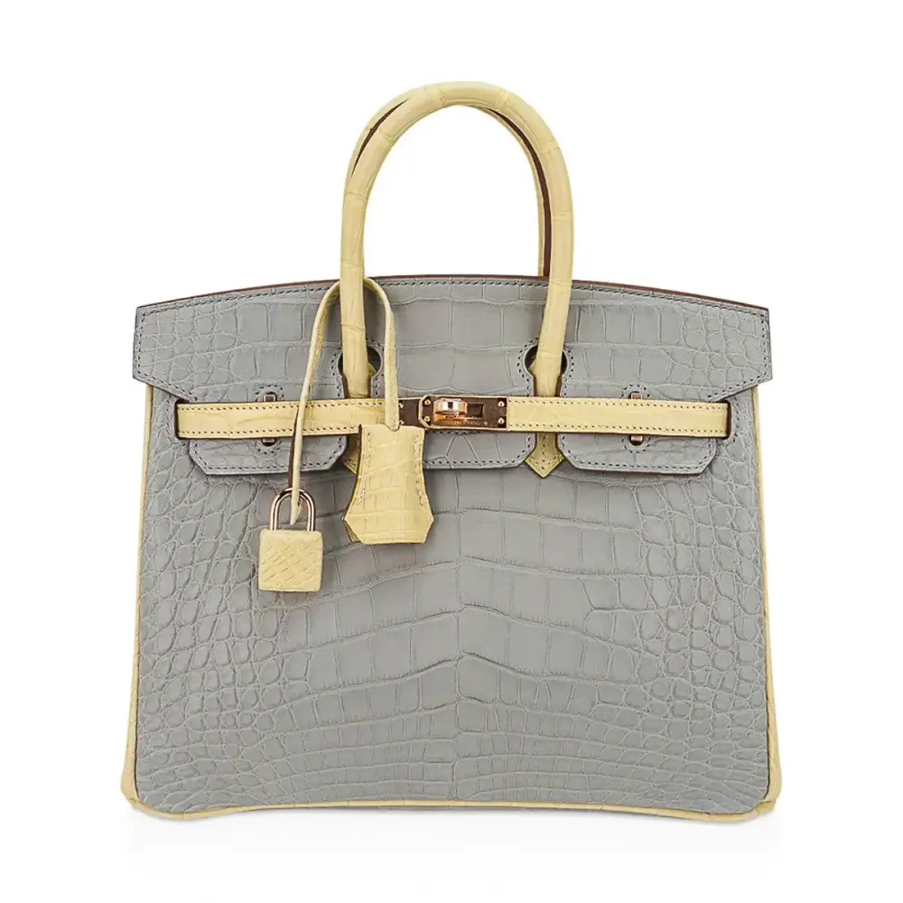 replica hermes bags Hermès HSS Birkin 25 Gris Perle and Vanille Matte Alligator Mississippiensis Rose Gold Hardware