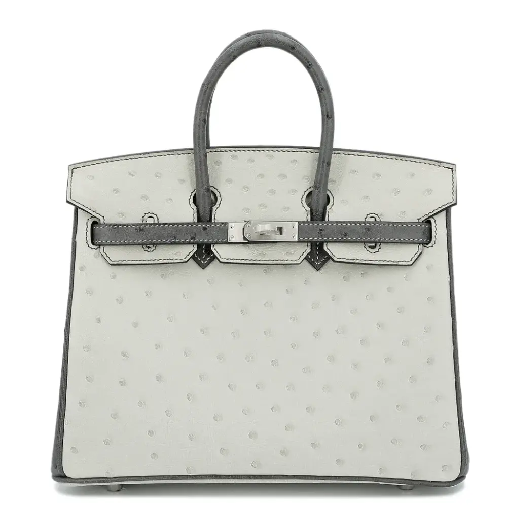 replica hermes bags Hermès HSS Birkin 25 Pearl Grey and Graphite Ostrich Brushed Palladium Hardware