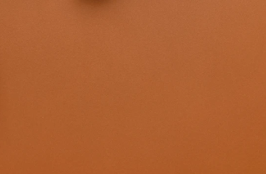 Hermès Butler Leather