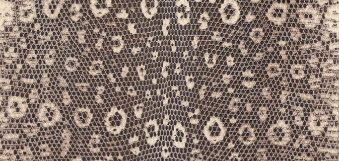 Hermès Lizard Leather