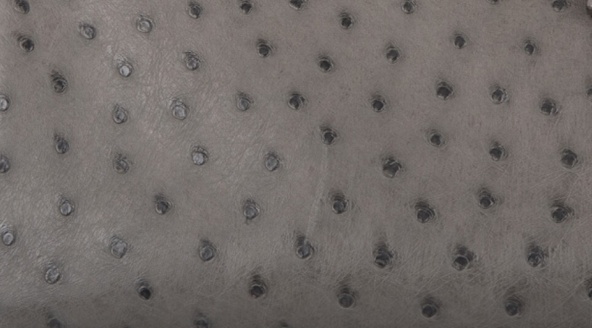 Hermès Ostrich Leather