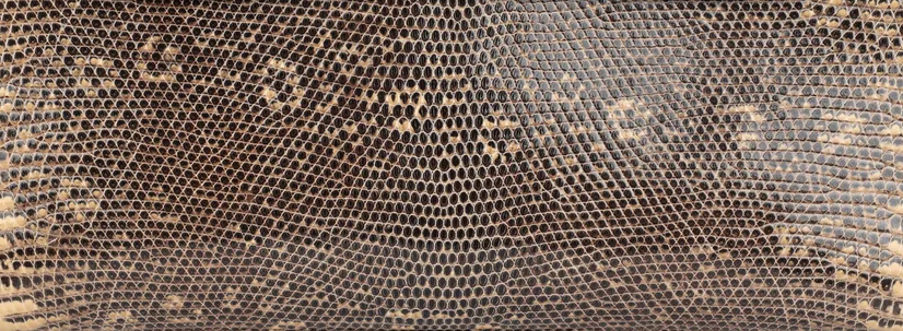 Hermès Salvator Lizard Leather