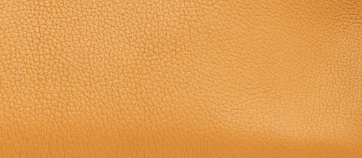 Hermès Vache Leather