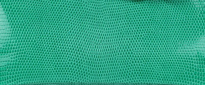 Hermès Varanus Niloticus Lizard Leather